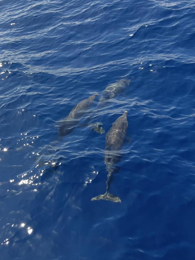 Tenerife Playa La Arena Пуерто-де-Сантьяго Екстер'єр фото