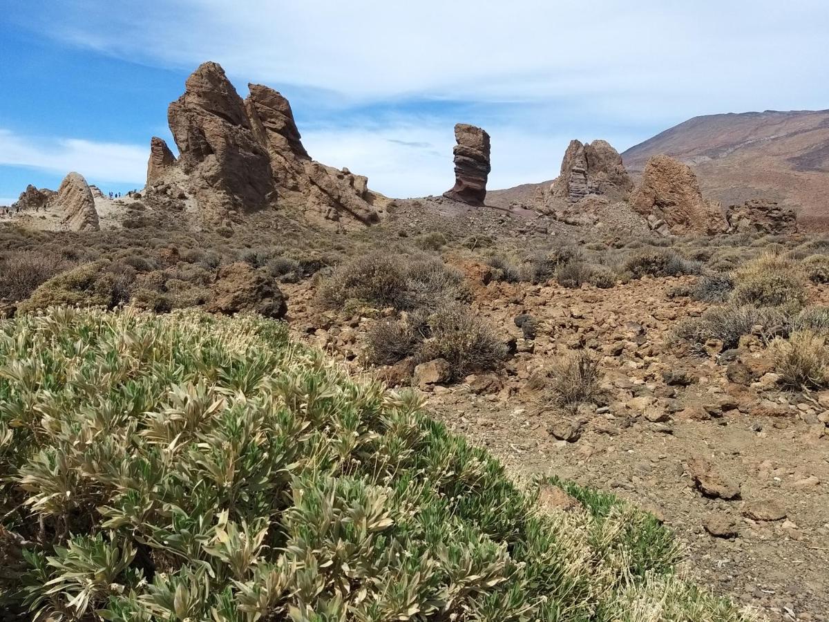 Tenerife Playa La Arena Пуерто-де-Сантьяго Екстер'єр фото