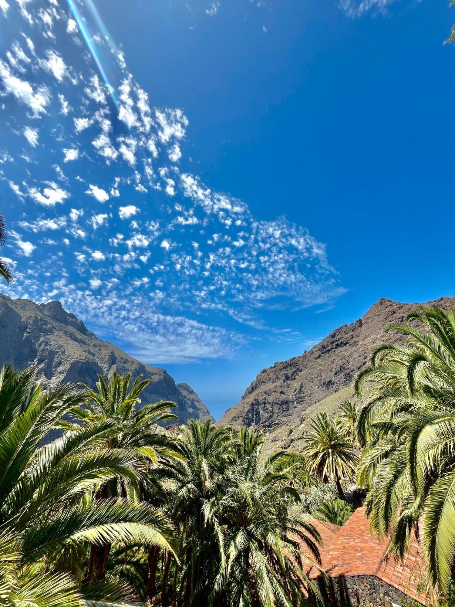 Tenerife Playa La Arena Пуерто-де-Сантьяго Екстер'єр фото